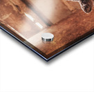 Calf Acrylic print