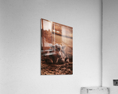 Calf Acrylic Print