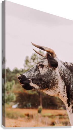 Be A Beast Canvas Print
