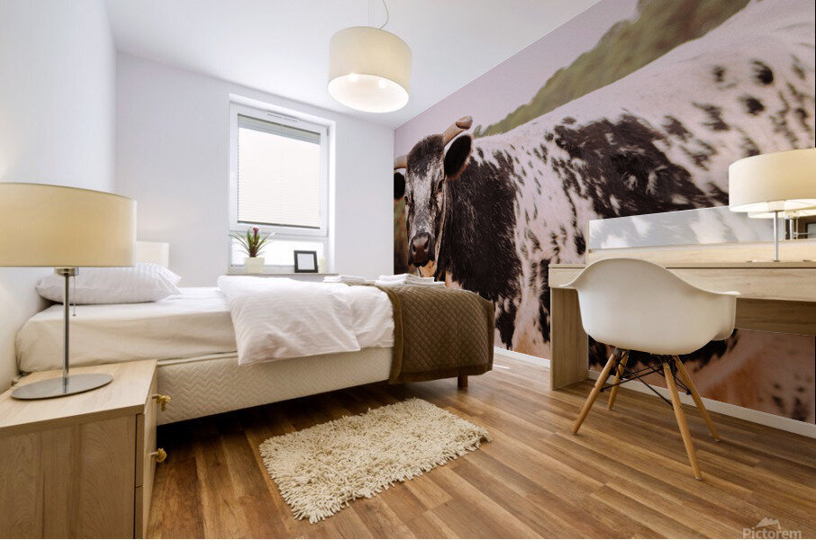 Cow Mural print