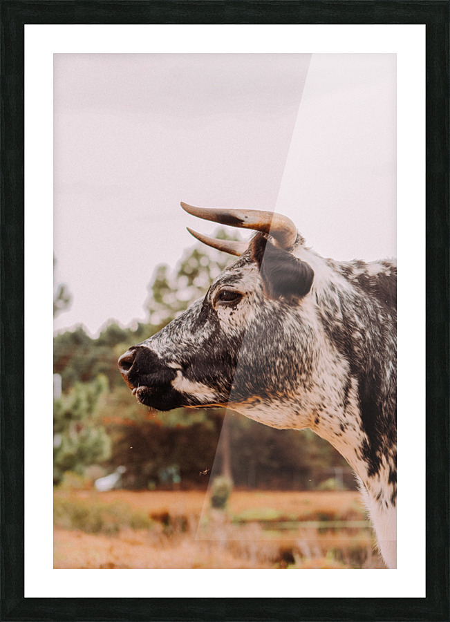 Be A Beast Picture Frame print