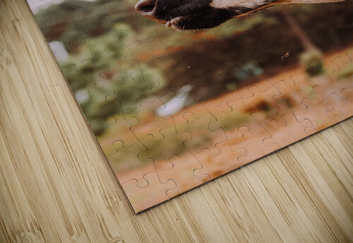 Be A Beast Kalei Sutton puzzle