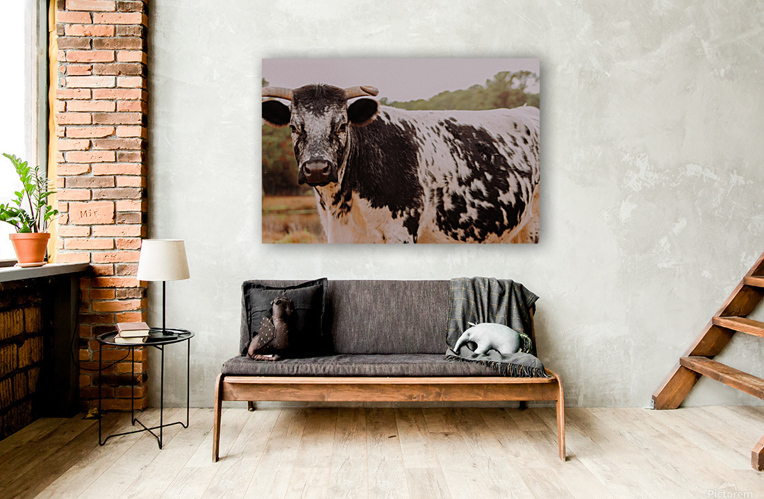 Cow Reproduction