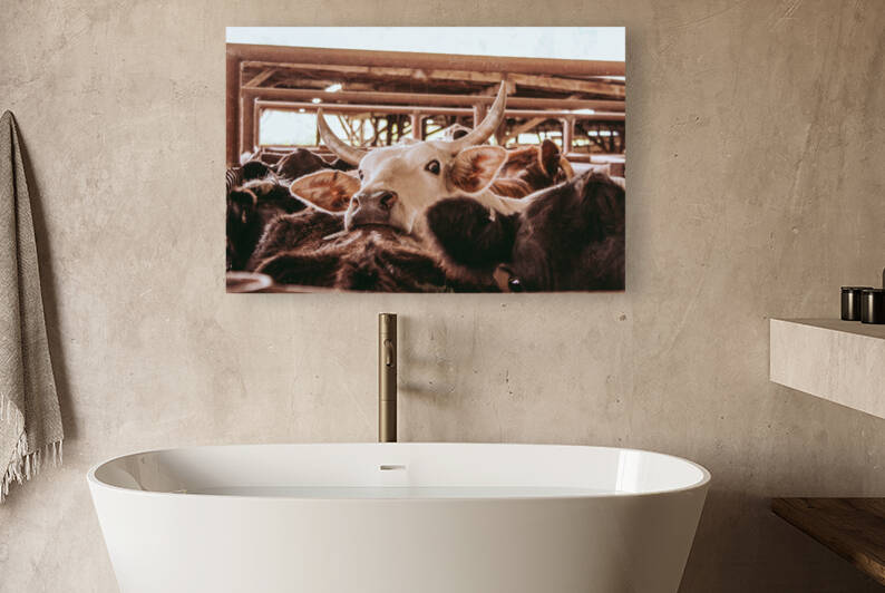 Take The Bull By The Horns by Kalei Sutton