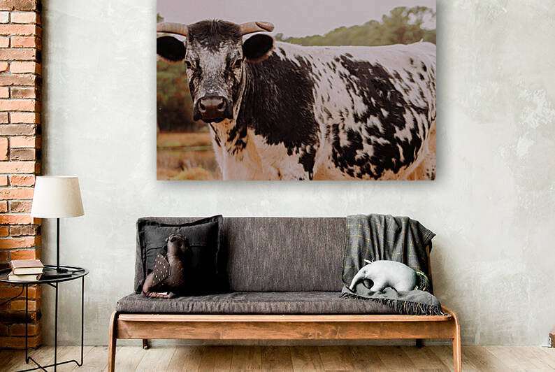 Cow by Kalei Sutton