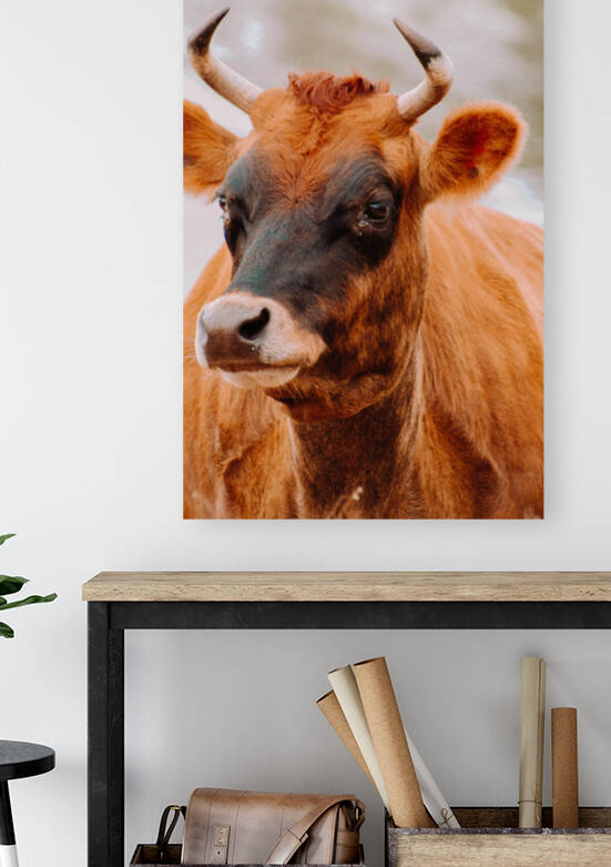Grab Life By The Horns by Kalei Sutton