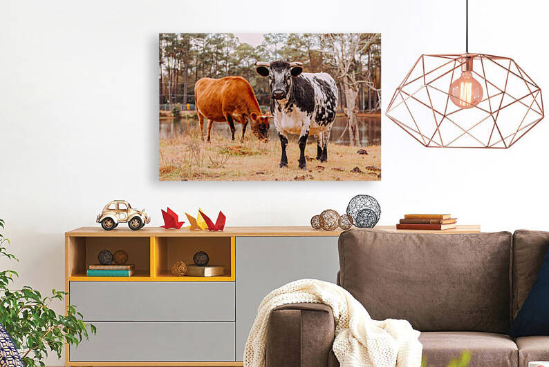 Stand Out From The Herd by Kalei Sutton