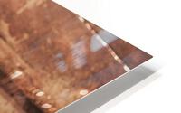 Calf HD Metal print