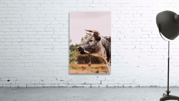 Be A Beast Wall Preview
