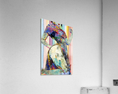 Absorption Acrylic Print