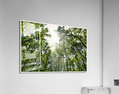 01 27 Acrylic Print