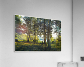 01 42 Acrylic Print