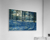 01 7 Acrylic Print