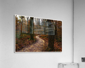 01 33 Acrylic Print