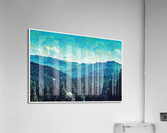 01 29 Acrylic Print