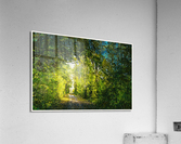 01 2 Acrylic Print