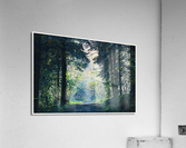 01 48 Acrylic Print