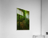 01 44 Acrylic Print