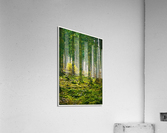01 49 Acrylic Print