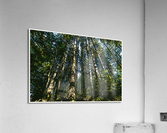 01 41 Acrylic Print