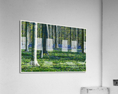 01 38 Acrylic Print
