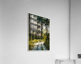 01 36 Acrylic Print