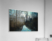 01 1 Acrylic Print