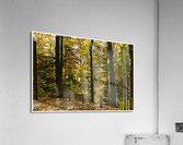 01 35 Acrylic Print