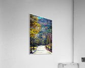 01 40 Acrylic Print