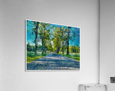 01 19 Acrylic Print