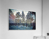 01 39 Acrylic Print