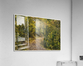 01 45 Acrylic Print