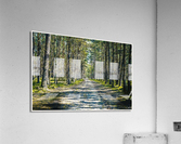01 43 Acrylic Print