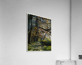 01 55 Acrylic Print