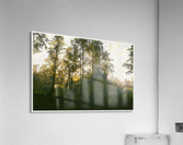 01 60 Acrylic Print