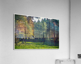 01 75 Acrylic Print