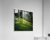 01 61 Acrylic Print