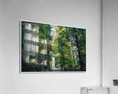 01 56 Acrylic Print
