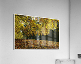 01 67 Acrylic Print