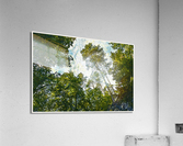 01 51 Acrylic Print
