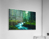 01 84 Acrylic Print