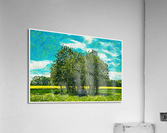 01 63 Acrylic Print
