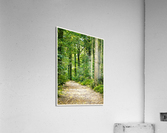 01 53 Acrylic Print