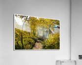 01 159 Acrylic Print