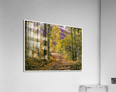 01 146 Acrylic Print