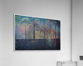 01 156 Acrylic Print