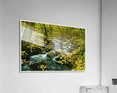 01 136 Acrylic Print