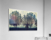 01 161 Acrylic Print