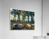 01 121 Acrylic Print