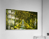 01 165 Acrylic Print